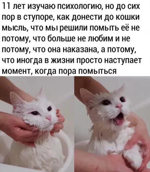 Смешная картинка №485509