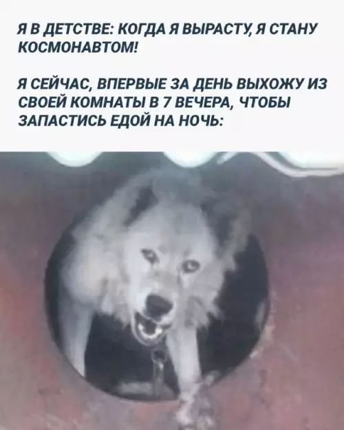 Смешная картинка №682209