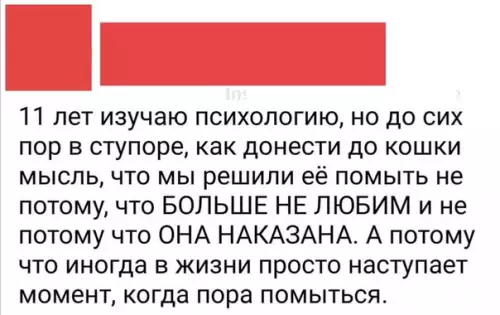 Смешная картинка №509801