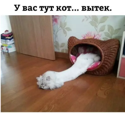 Смешная картинка №261689