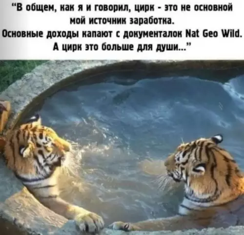 Смешная картинка №688248