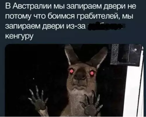 Смешная картинка №464165 Cаня, открoй!! Тaм пaук!! австралия