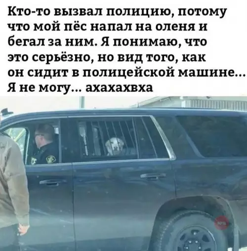 Смешная картинка №267416