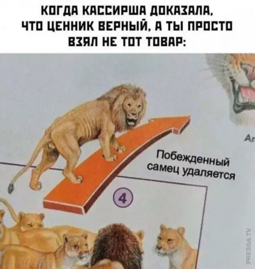 Смешная картинка №710956 касса, продавцы