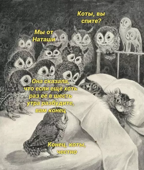 Смешная картинка №665520