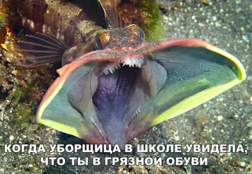 Смешная картинка №258225