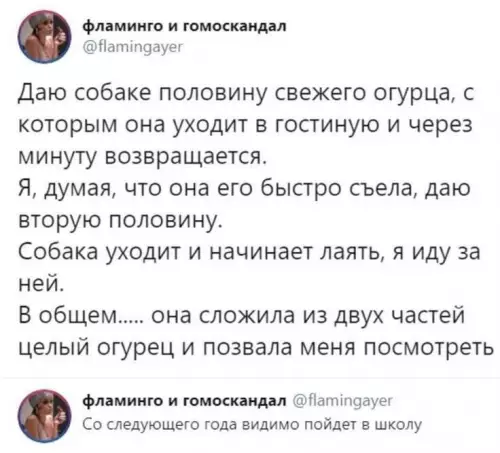 Смешная картинка №760855