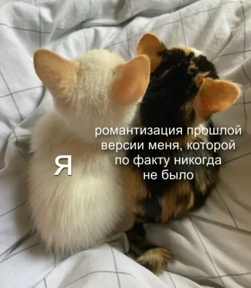 Смешная картинка №810768