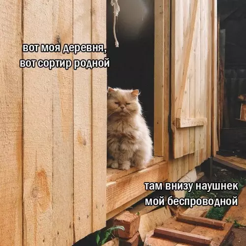 Смешная картинка №724070