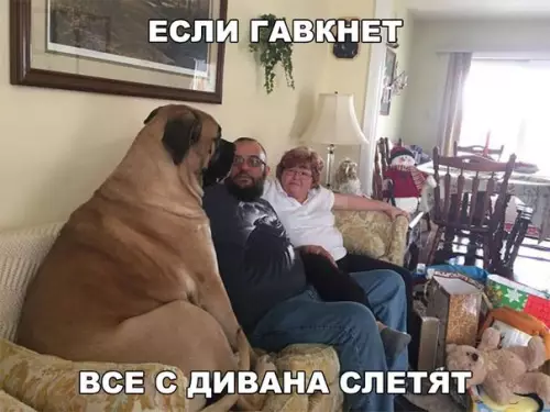 Смешная картинка №255611