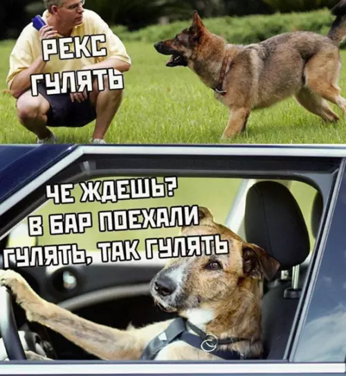 Смешная картинка №546872