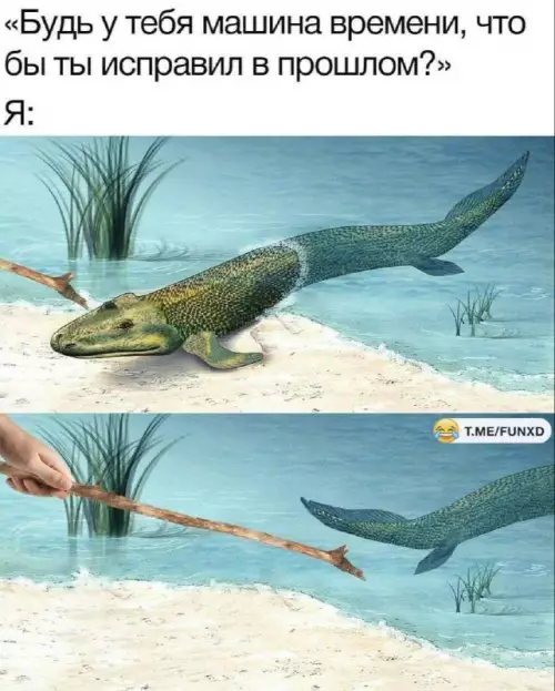 Смешная картинка №697463