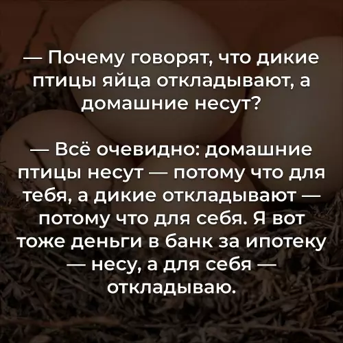Тонкая лингвистическая философия 🥚🤔 - Почему говорят, что дикие птицы яйца откладывают, а домашние несут?