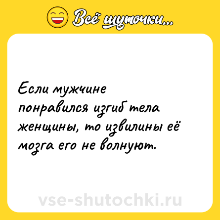 Шутка: Если мужчине понравился изгиб тела женщины, то извилины её мозга его не волнуют.