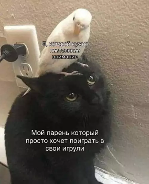 Смешная картинка №739867