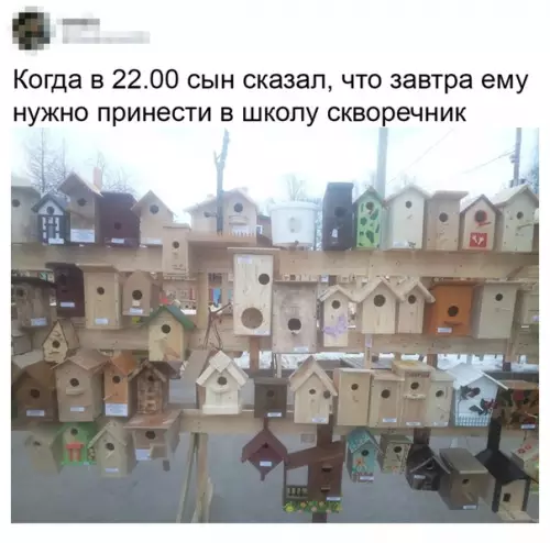 Смешная картинка №523415 И у птиц есть социальное неравенство