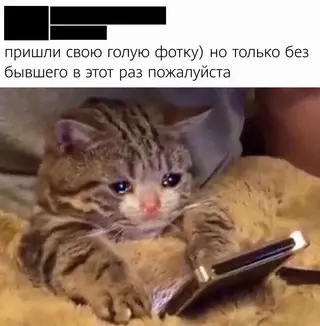 Смешная картинка №689363