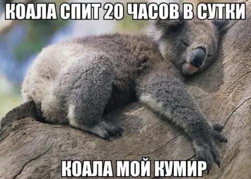 Смешная картинка №196836