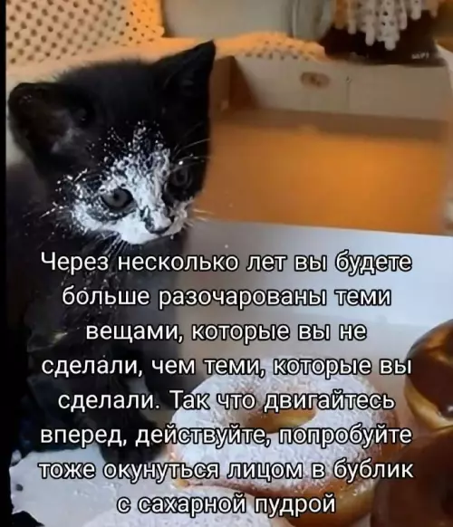 Главный совет по саморазвитию 🍩✨ - Через несколько лет вы будете больше разочарованы теми вещами, которые