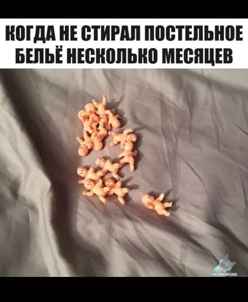 Смешная картинка №371335
