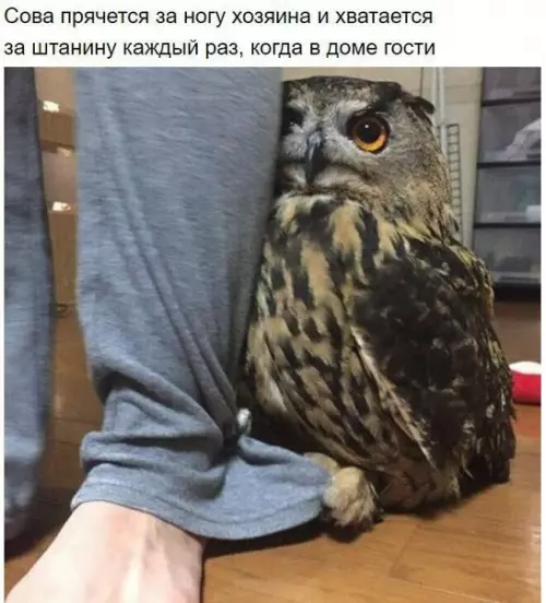 Смешная картинка №283647