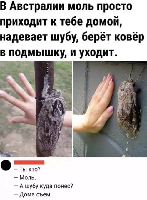 Смешная картинка №716019