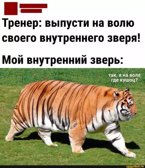 Смешная картинка №662298