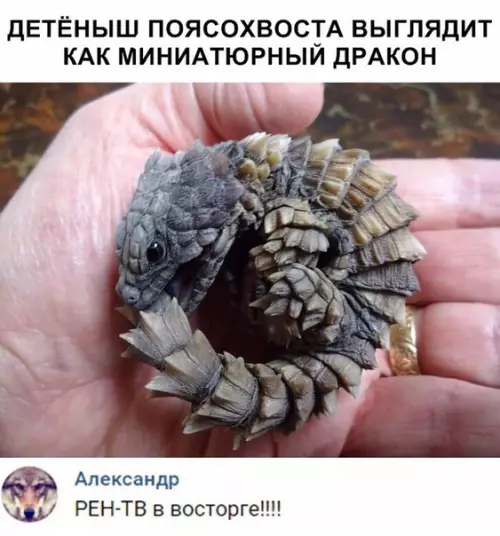 Смешная картинка №333392
