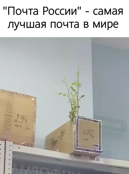Смешная картинка №529439