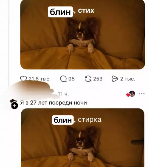 Смешная картинка №821768 Возраст