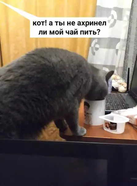 Смешная картинка №508657 И ведь не поспоришь!