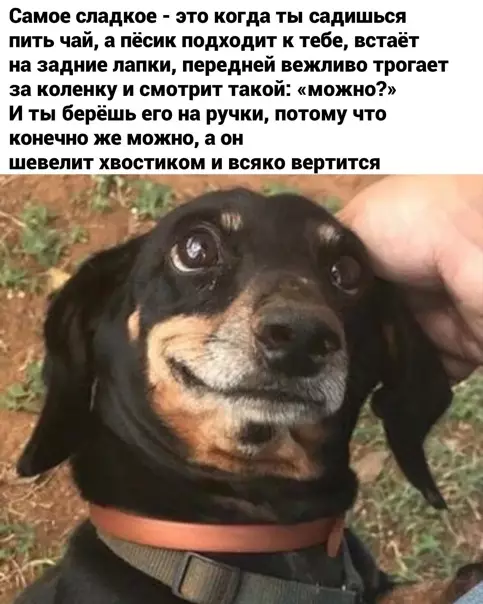 Смешная картинка №546270 Moжнo и нyжнo!