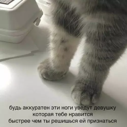 Смешная картинка №689843