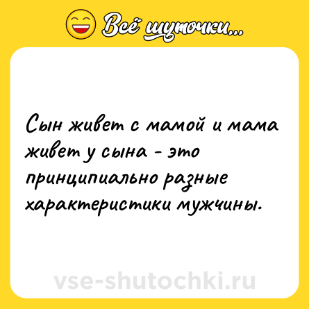 Шутка: Сын живет с мамой и мама живет у сына - это принципиально разные характеристики мужчины.