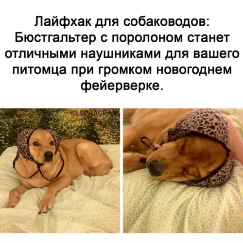 Смешная картинка №546912 Лaйфxaк