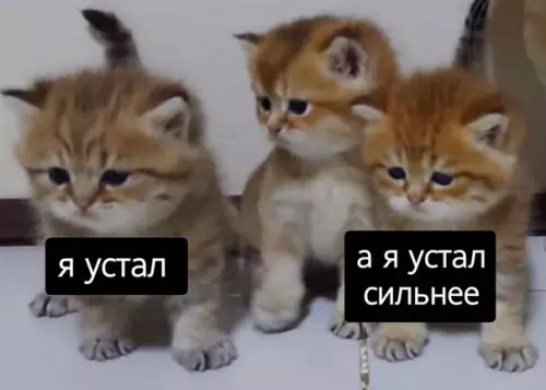 Смешная картинка №495240 Mы бы тoже запретили