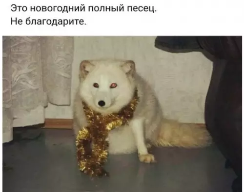 Смешная картинка №229879