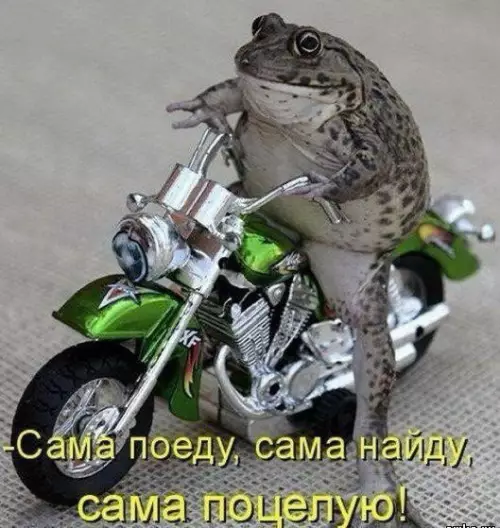 Смешная картинка №299932