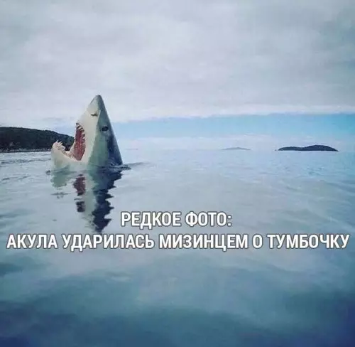 Смешная картинка №313496 И такое бывает?