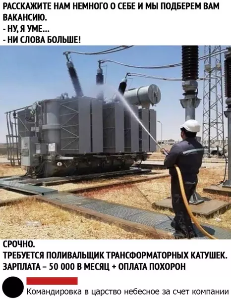 Смешная картинка №467211 Когда лучше не брать никого на работу!! работа, объявления
