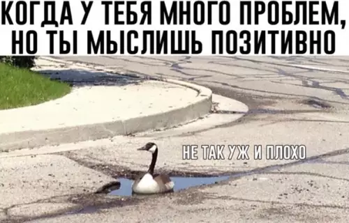 Смешная картинка №544684