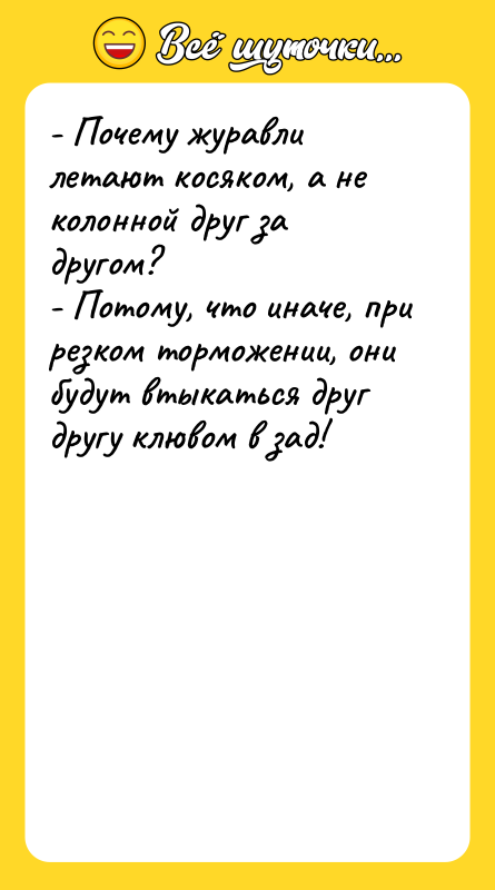 - Почему журавли летают косяком, а не колонной друг за