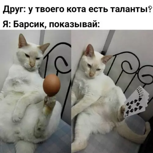 Смешная картинка №286350