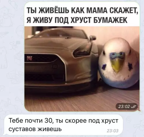 Смешная картинка №312337