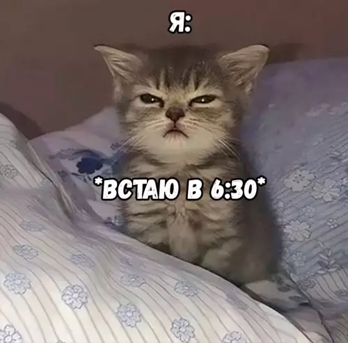 продолжение Смешная картинка №673788