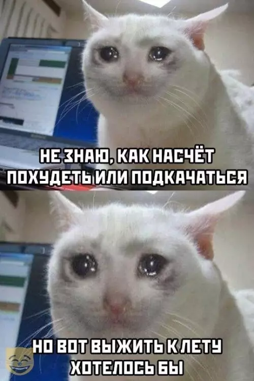 Смешная картинка №625249 Планы на ближайшие пару месяцев: