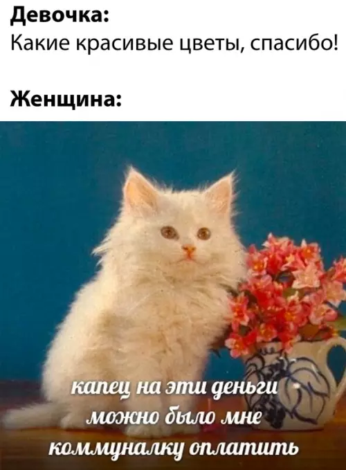 Смешная картинка №682539