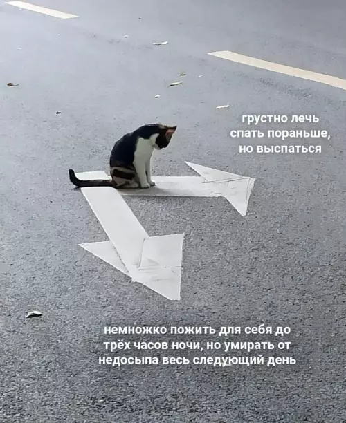 Смешная картинка №792828