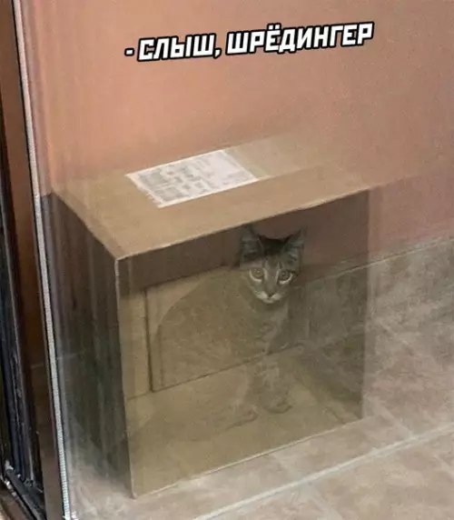 Смешная картинка №620760