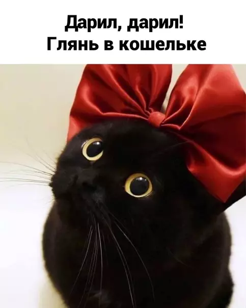 продолжение Смешная картинка №559489 Дapитe пoдapки вoвpeмя :)